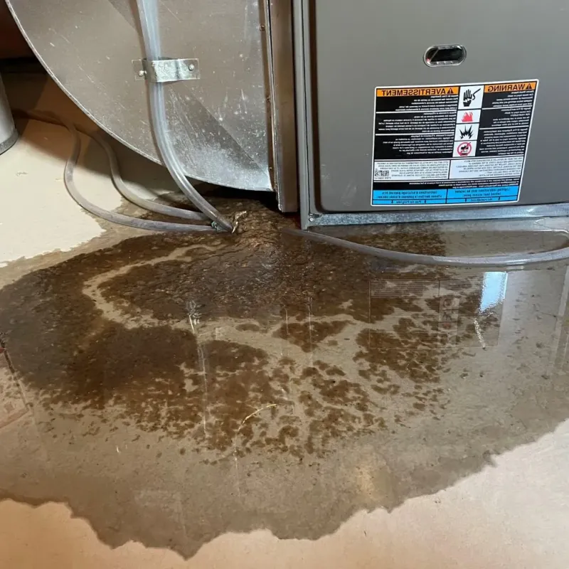 Pipe Burst and Leak Restoration in Lapel, IN